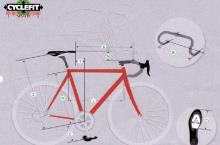 cyclefit2.jpg